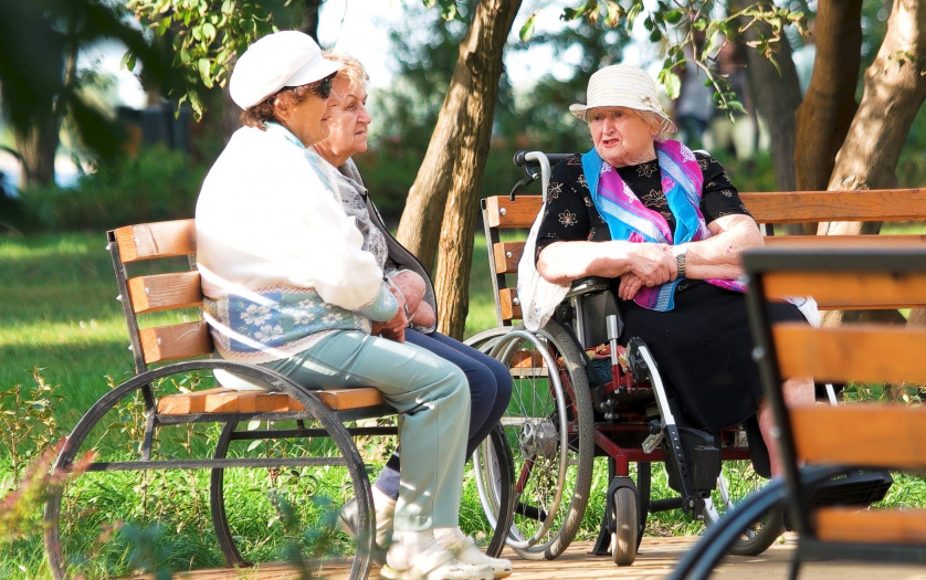 Disabled elderly woman in wheelchair resting in park with her friends on sunny day.