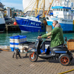 UK a middle aged man on a mobility scooter taking his dog for a walk on the quayside or dock