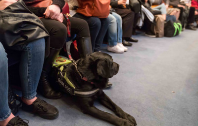 Blind man with guide dog sitting in the cinema