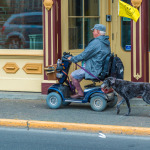 Man in Scooter with Dog.