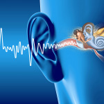 soundwave and ear anatomy, medical 3D illustration. Canal, otitis.