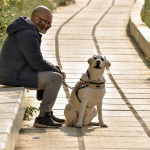 A blind man relaxing on a warm spring morning with his blind dog