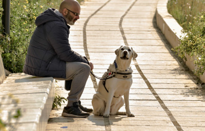 A blind man relaxing on a warm spring morning with his blind dog