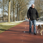 Guide dog is helping a blind man.