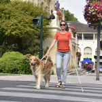 Blind woman crossing the street with help of guide dog