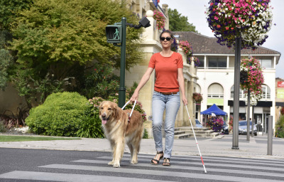 Blind woman crossing the street with help of guide dog