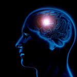 3d male medical figure with brain highlighted