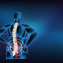 Diagram showing herniated disc in human