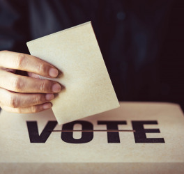 Brown paper insert in vote box