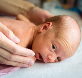 Portrait of premature newborn