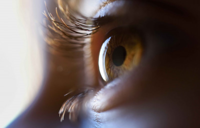 Close-up of beautiful little girl brown eye