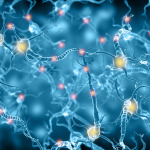 active neurons