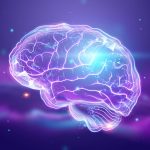 The image of the human brain