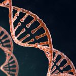 Spiral strand of DNA on the dark background