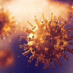 microscopic photo of coronavirus