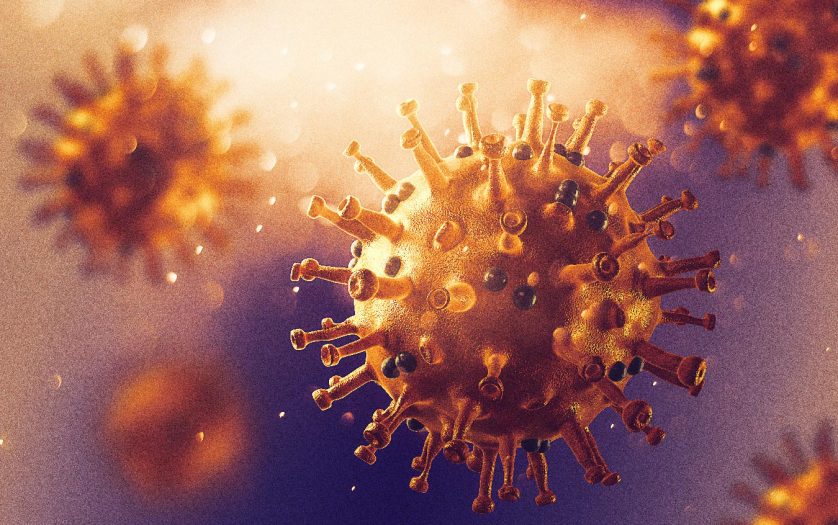 microscopic photo of coronavirus