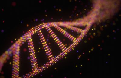 DNA Molecule Structure