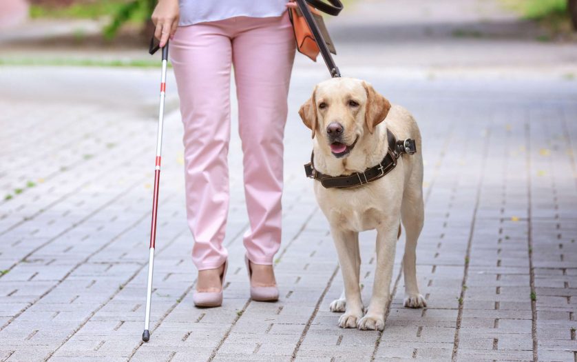 blind woman with guide dog in the street
