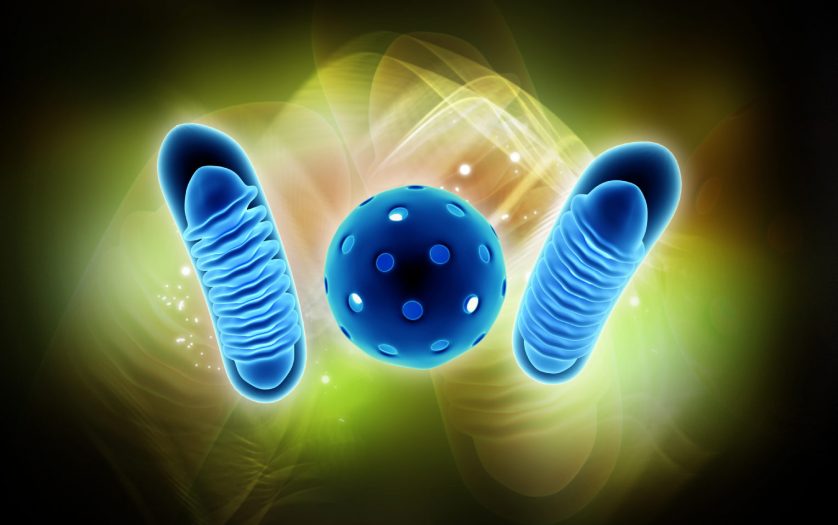 Digital illustration of 3d rendered Digital illustration of Mitochondria in colour background
