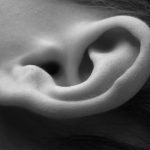 Close-up of child ear - black and white