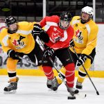2019 Eastern Regional Blind Hockey Tournament
