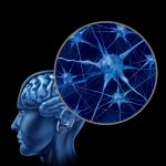 Human brain with close up of active neurons