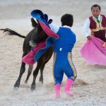 little people fighting a young cow