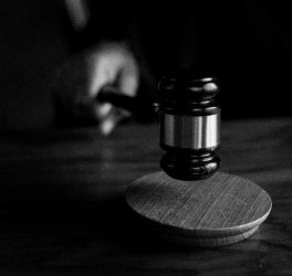 judge gavel