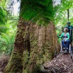 a woman in customized wheelchair with park volunteer at park
