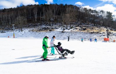 accessible ski