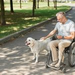 man in wheelchair with dog in park