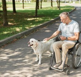 man in wheelchair with dog in park
