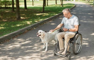 man in wheelchair with dog in park
