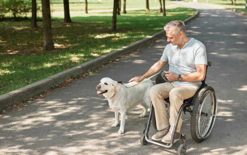 man in wheelchair with dog in park
