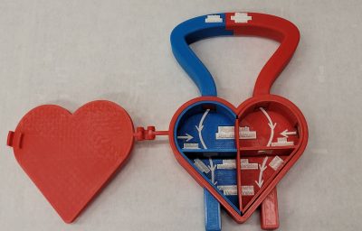 Heart House toy design