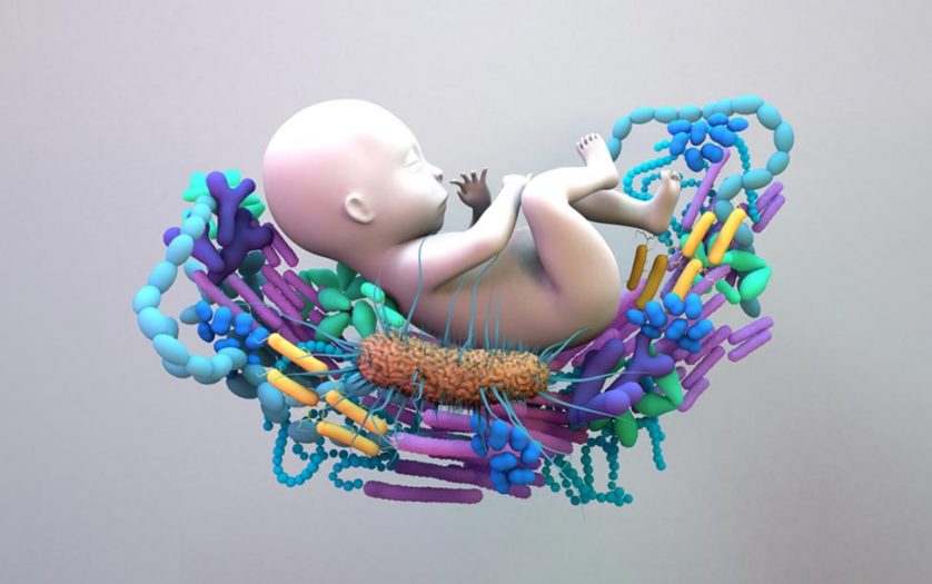 baby in the womb with viruses