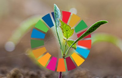 SDG wheel and plant
