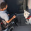 Service dog closing a door, helping a man in a wheelchair to exit the home.