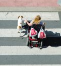 A woman in a wheelchair and accompanied by a dog, go on a pedestrian crossing.