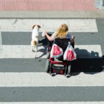 A woman in a wheelchair and accompanied by a dog, go on a pedestrian crossing.