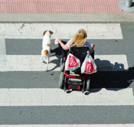 A woman in a wheelchair and accompanied by a dog, go on a pedestrian crossing.
