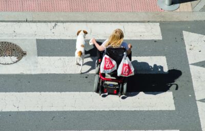 A woman in a wheelchair and accompanied by a dog, go on a pedestrian crossing.