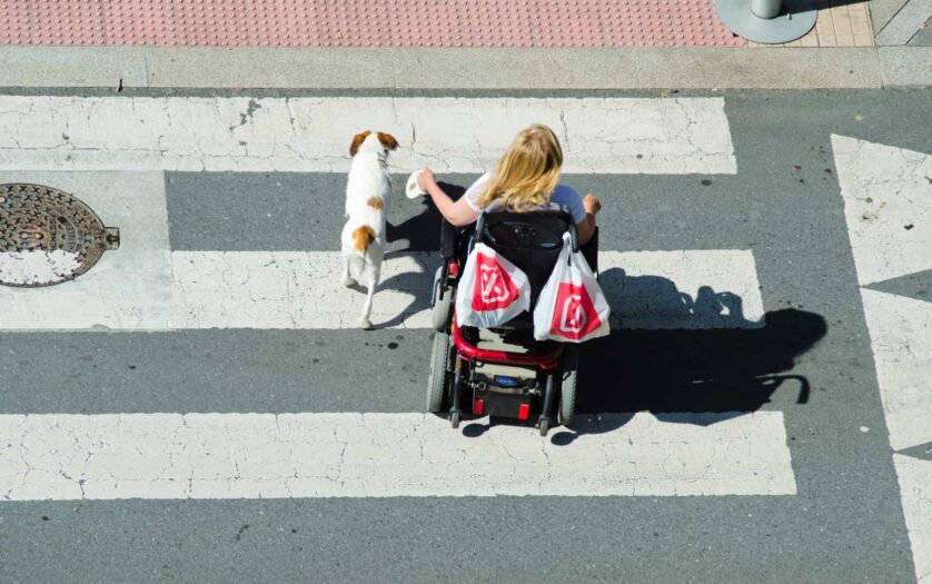 A woman in a wheelchair and accompanied by a dog, go on a pedestrian crossing.
