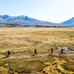 Migrants walk across the Atacama Desert on the Bolivia–Chile border