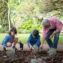 An Elderly Man Planting with his Grandchildren