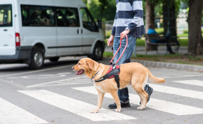 blind man with guide dog on pedestrian crossing