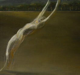 legacy of lines image