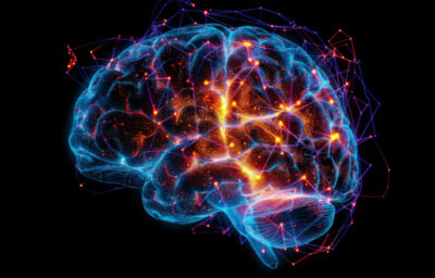 Digital neural brain illuminated synaptic network