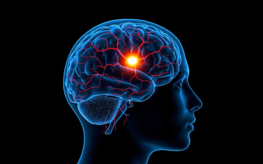 head with an X ray showing the brain highlighted in red