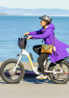 A woman rides an electric bicycle along the waterfront, wearing a purple coat and helmet, on a sunny day.